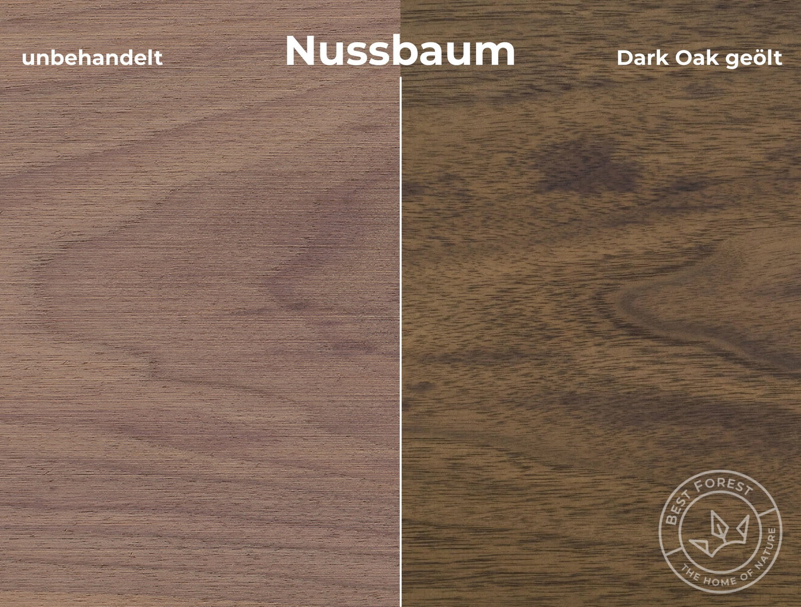 Rubio Monocoat Holzschutzöl Dark Oak