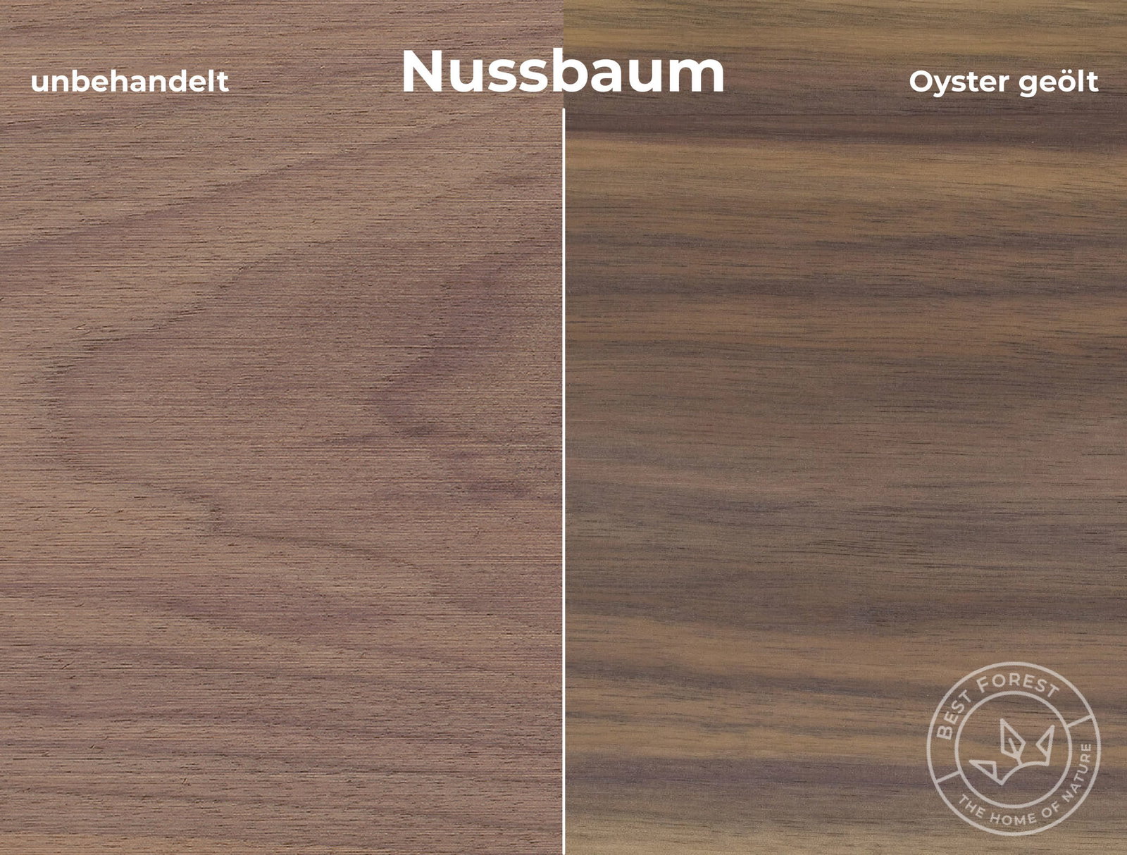 Rubio Monocoat Holzschutzöl Oyster