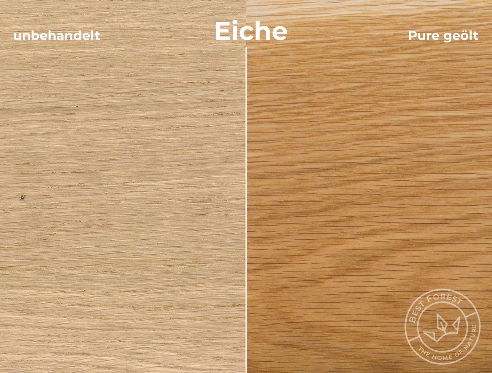 Rubio Monocoat Holzschutzöl Pure