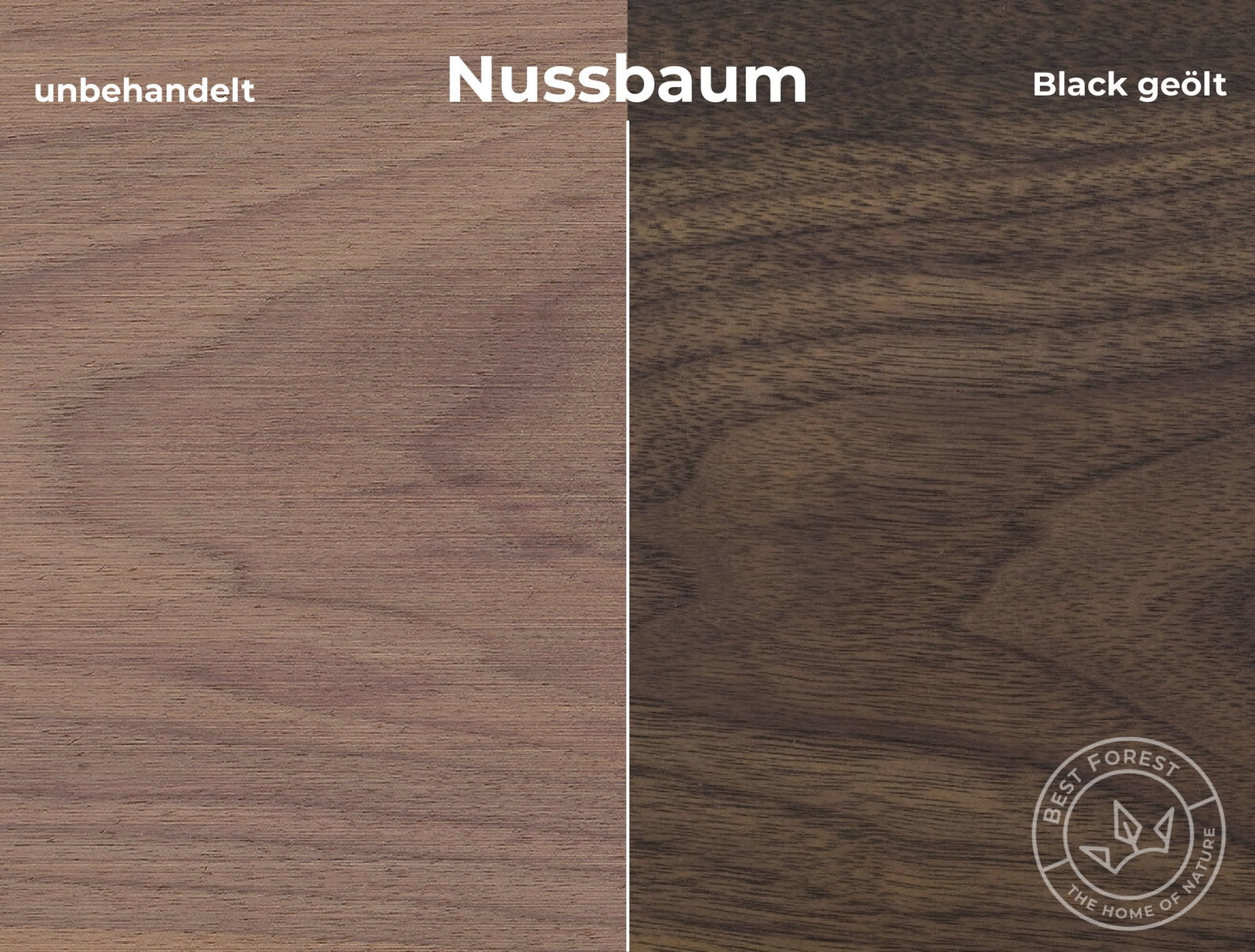Rubio Monocoat Holzschutzöl Black