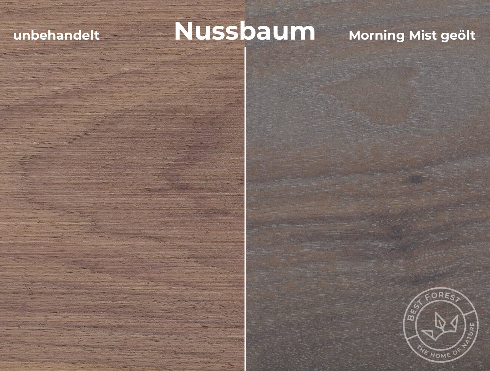 Rubio Monocoat Holzschutzöl Morning Mist