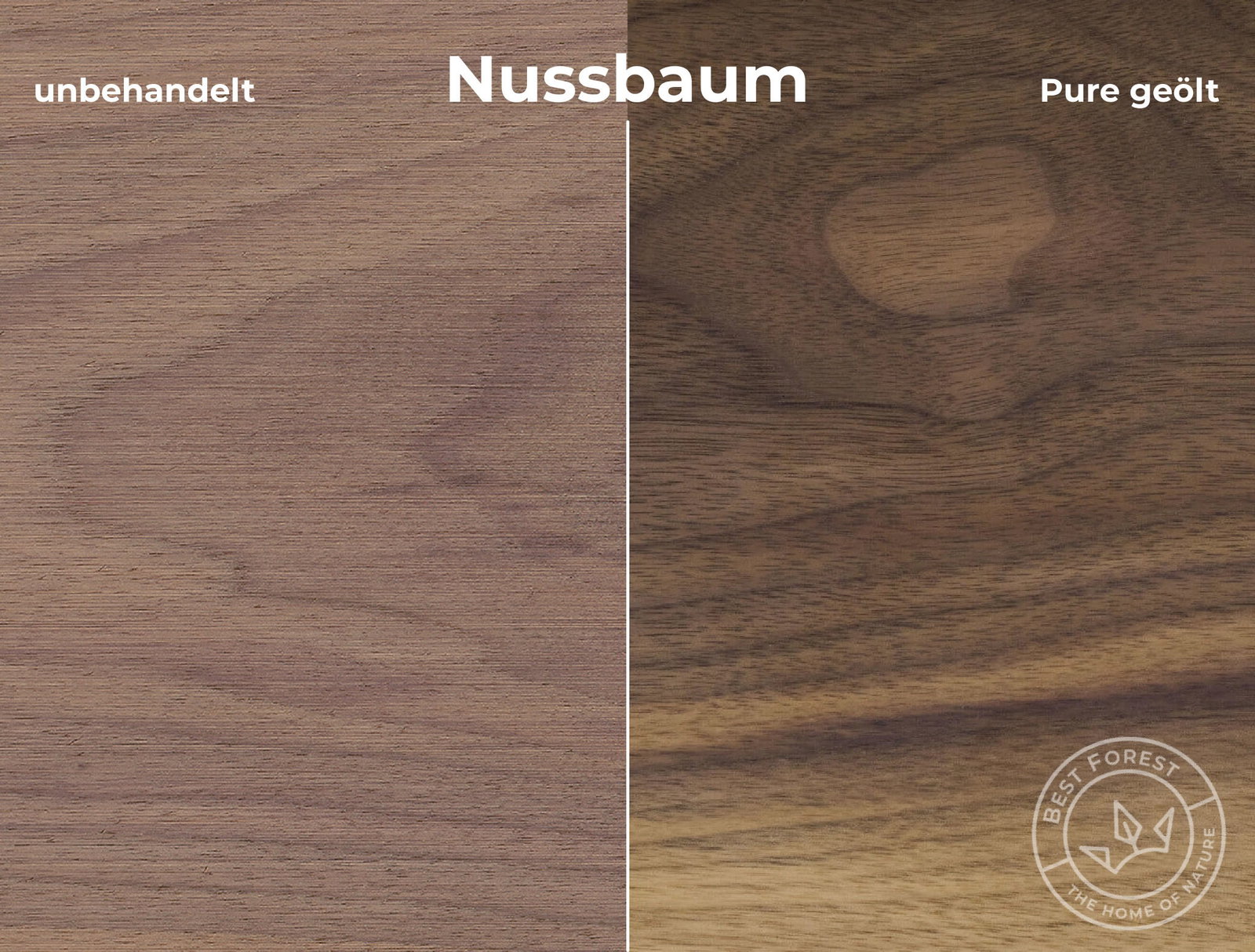 Rubio Monocoat Holzschutzöl Pure