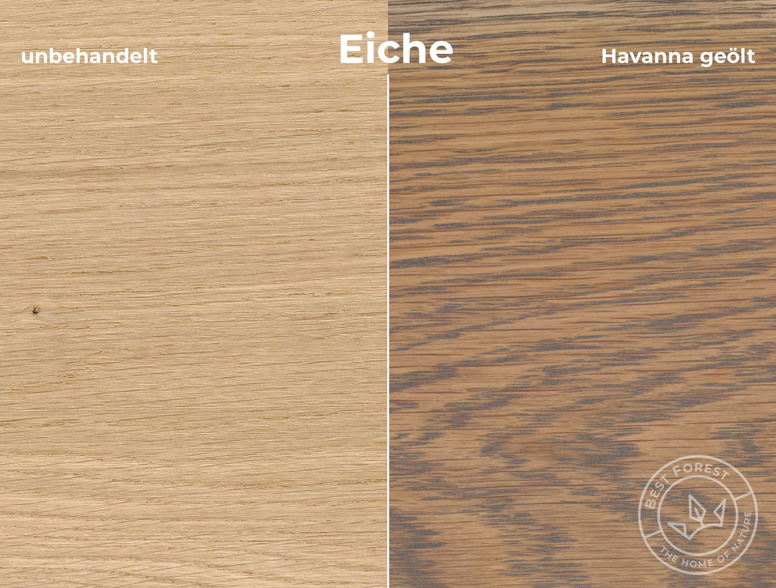 Rubio Monocoat Holzschutzöl Havanna
