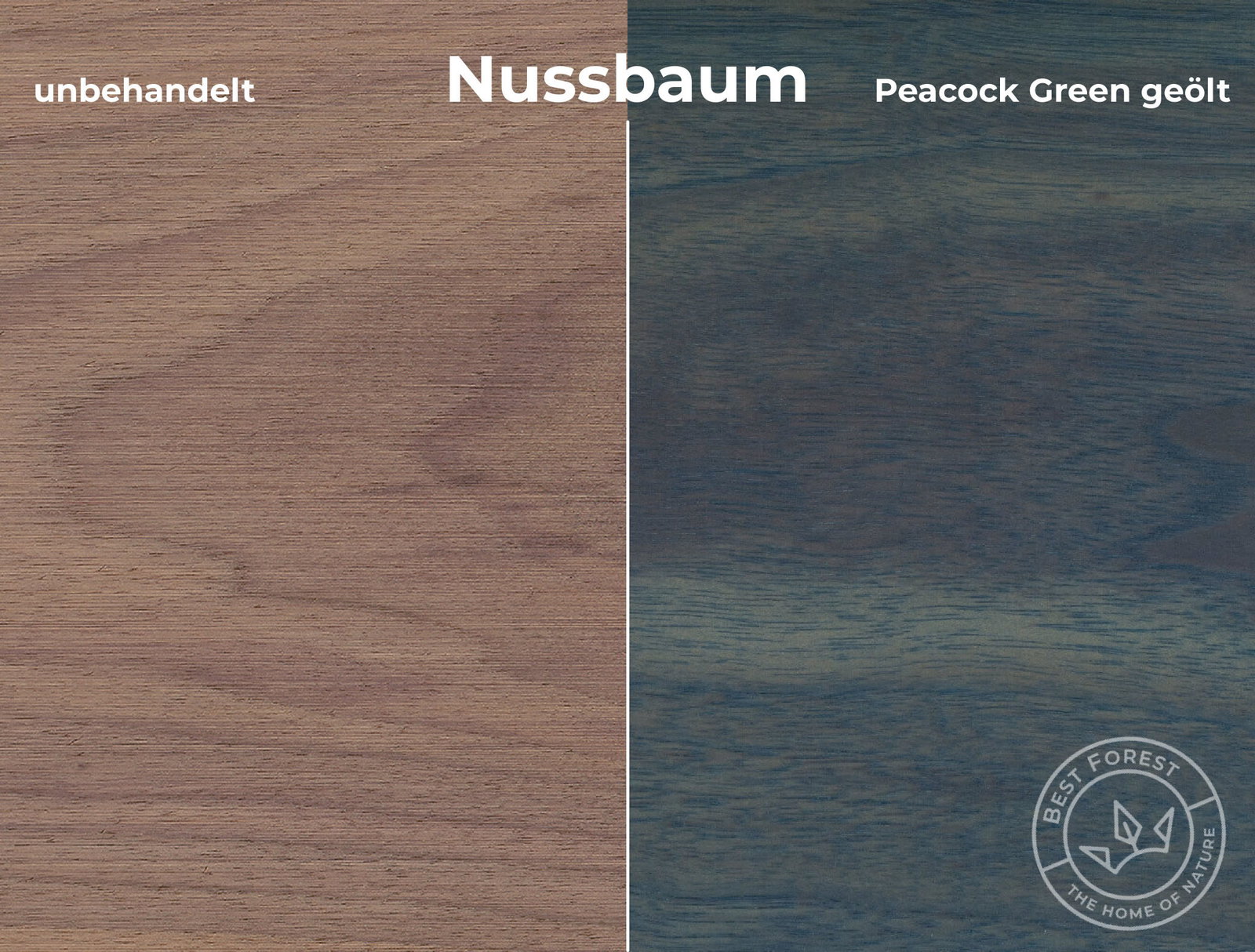 Rubio Monocoat Holzschutzöl Peacock Green