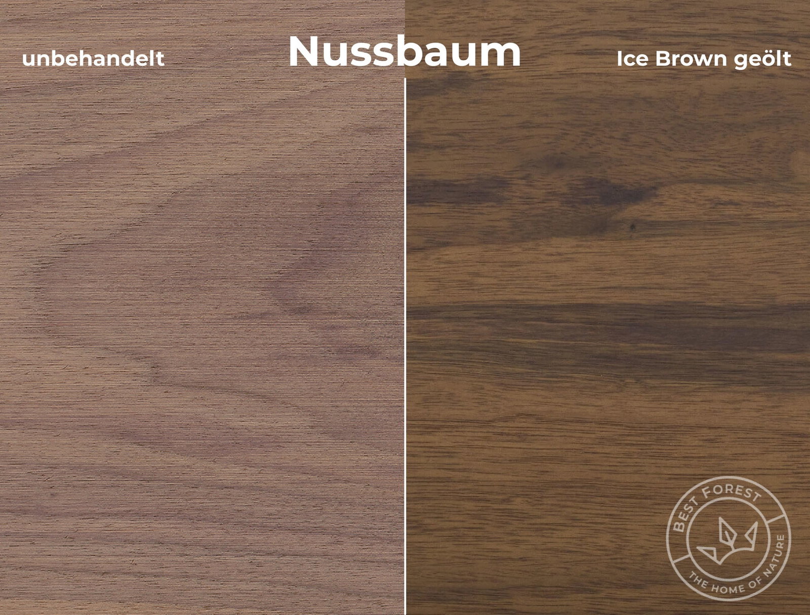 Rubio Monocoat Holzschutzöl Ice Brown