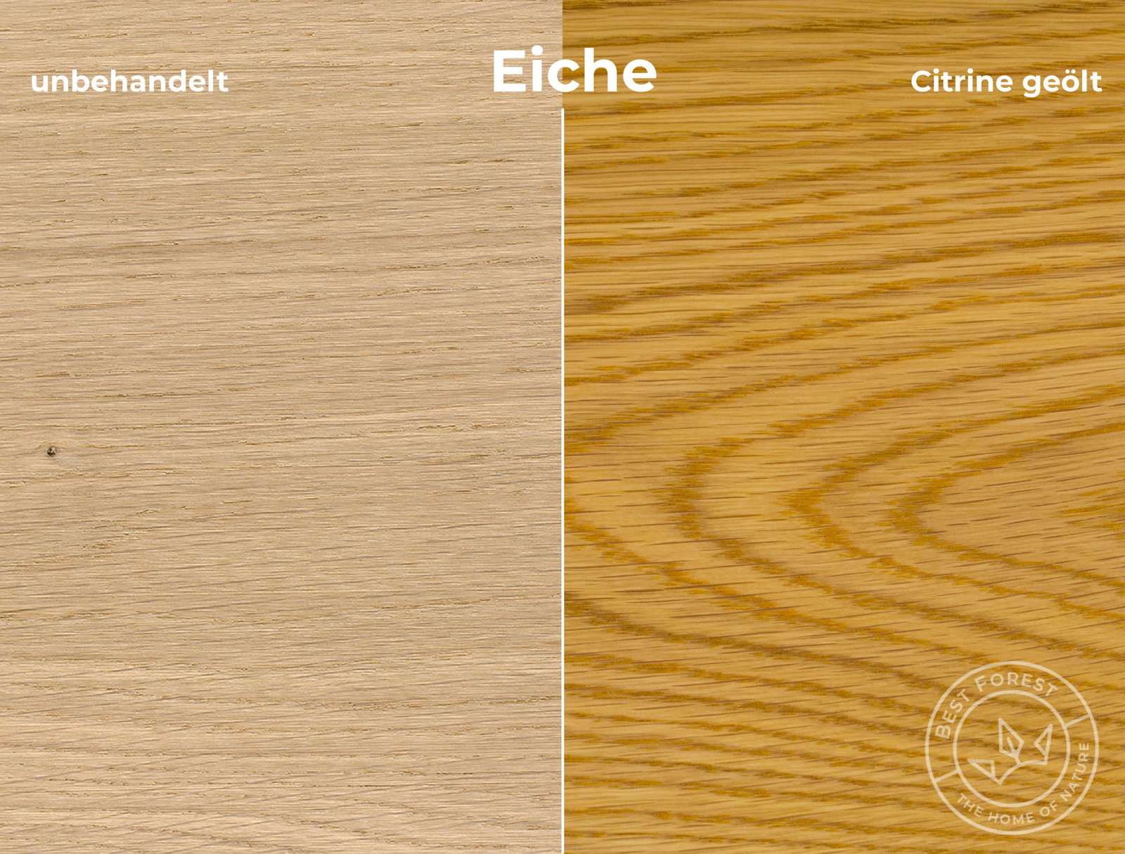 Rubio Monocoat Holzschutzöl Citrine