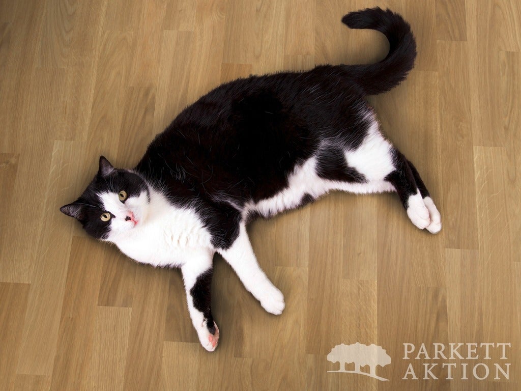 2-Schicht Fertigparkett Eiche Natur geölt