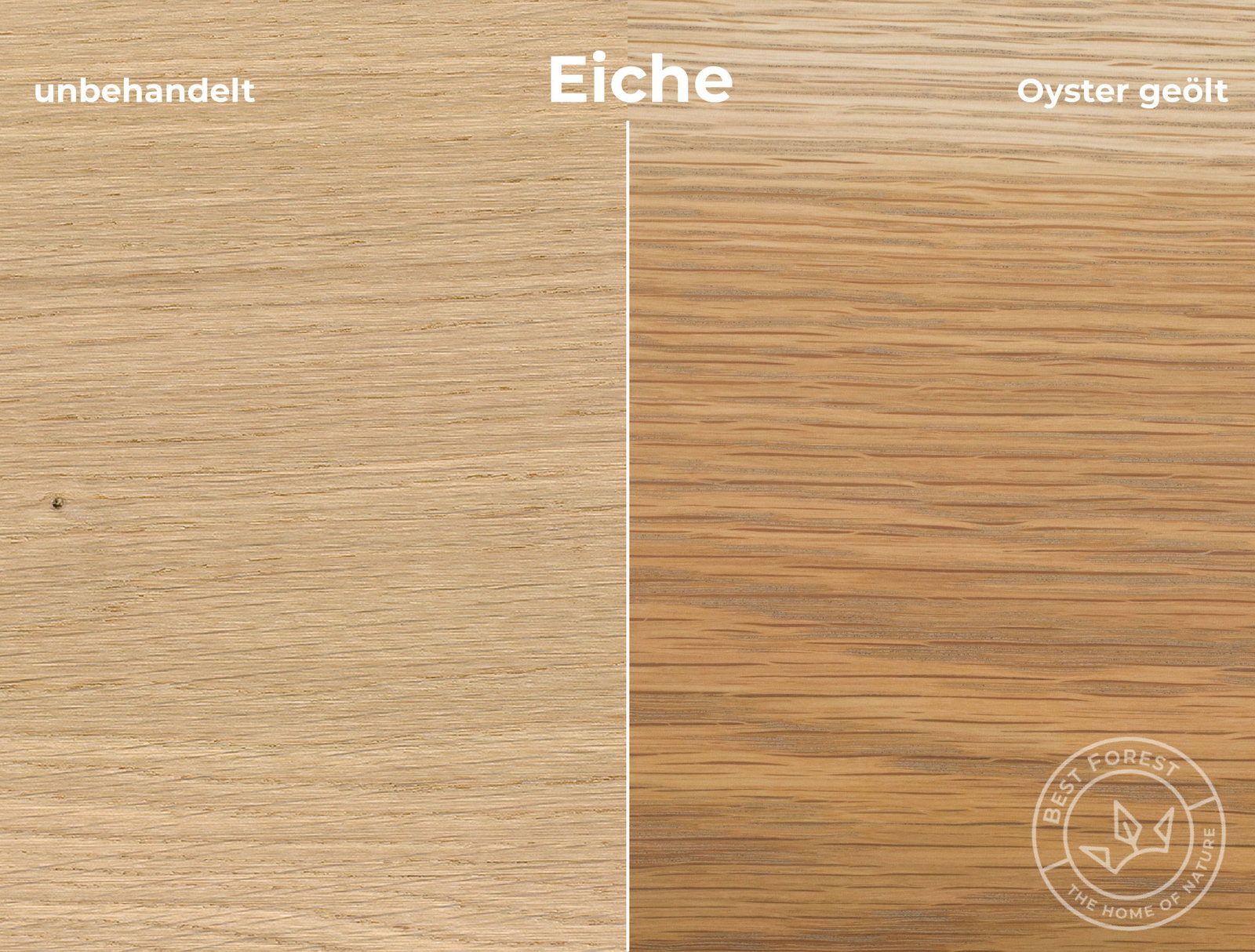 Rubio Monocoat Holzschutzöl Oyster