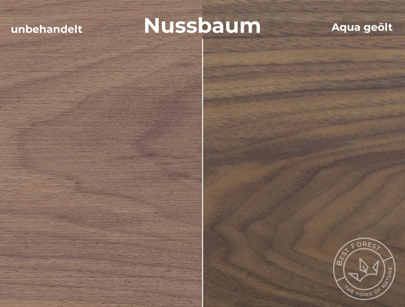 Rubio Monocoat Holzschutzöl Aqua