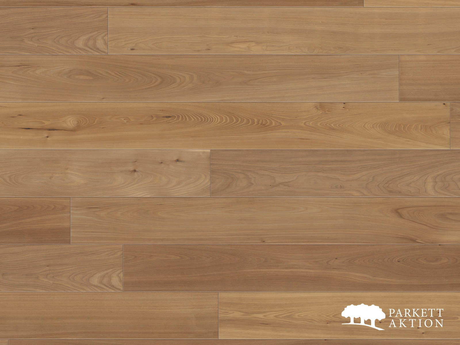 Parkettdielen Ulme Astig geölt