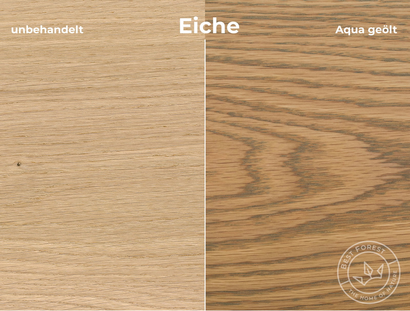 Rubio Monocoat Holzschutzöl Aqua