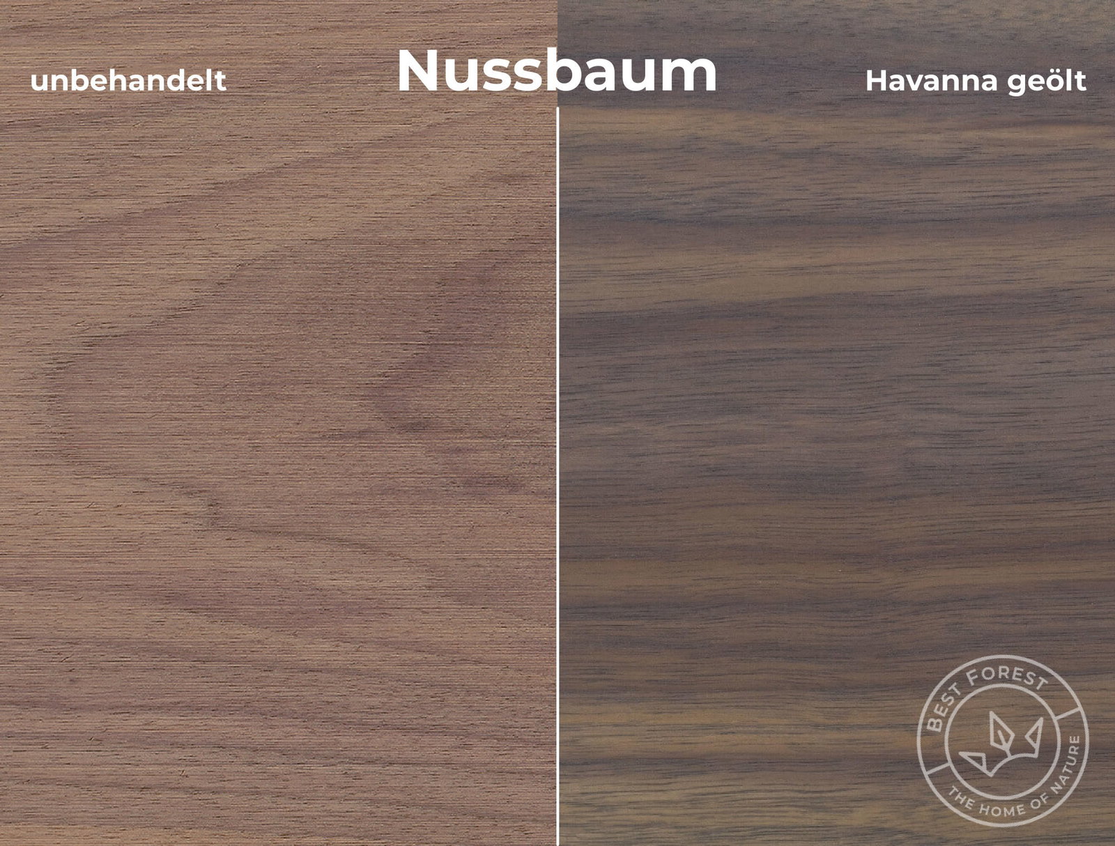 Rubio Monocoat Holzschutzöl Havanna