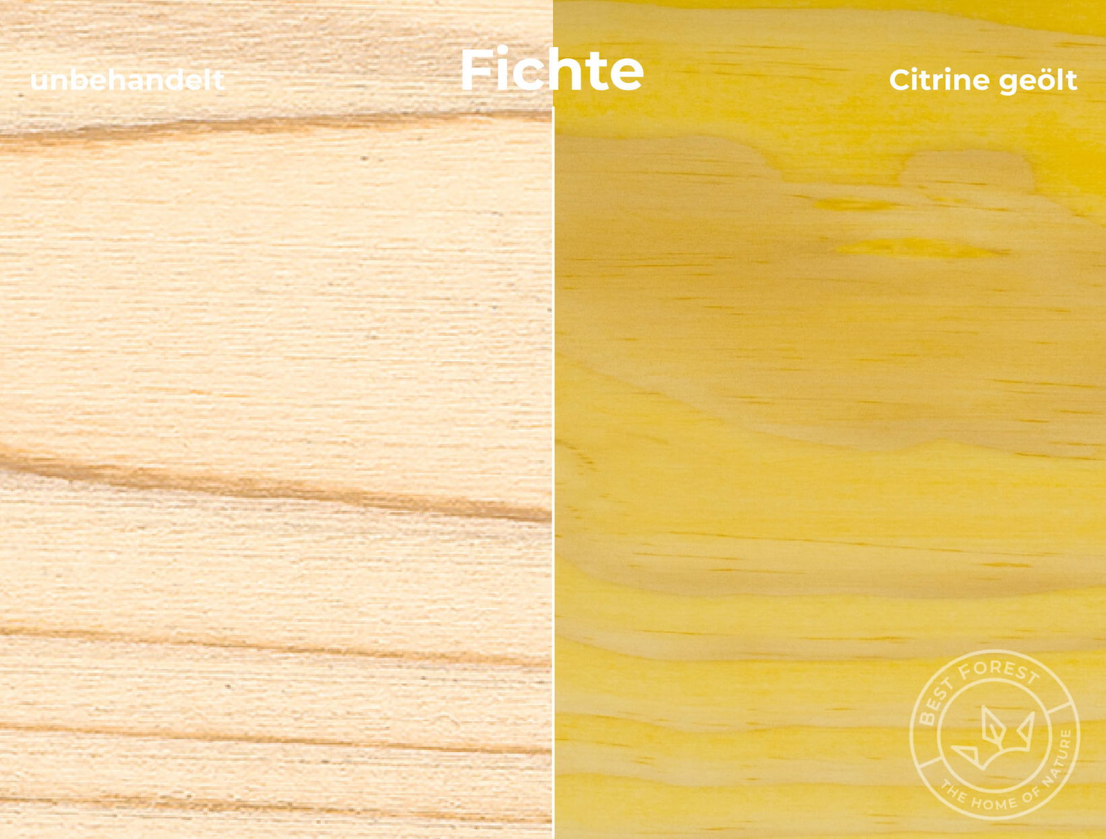 Rubio Monocoat Holzschutzöl Citrine
