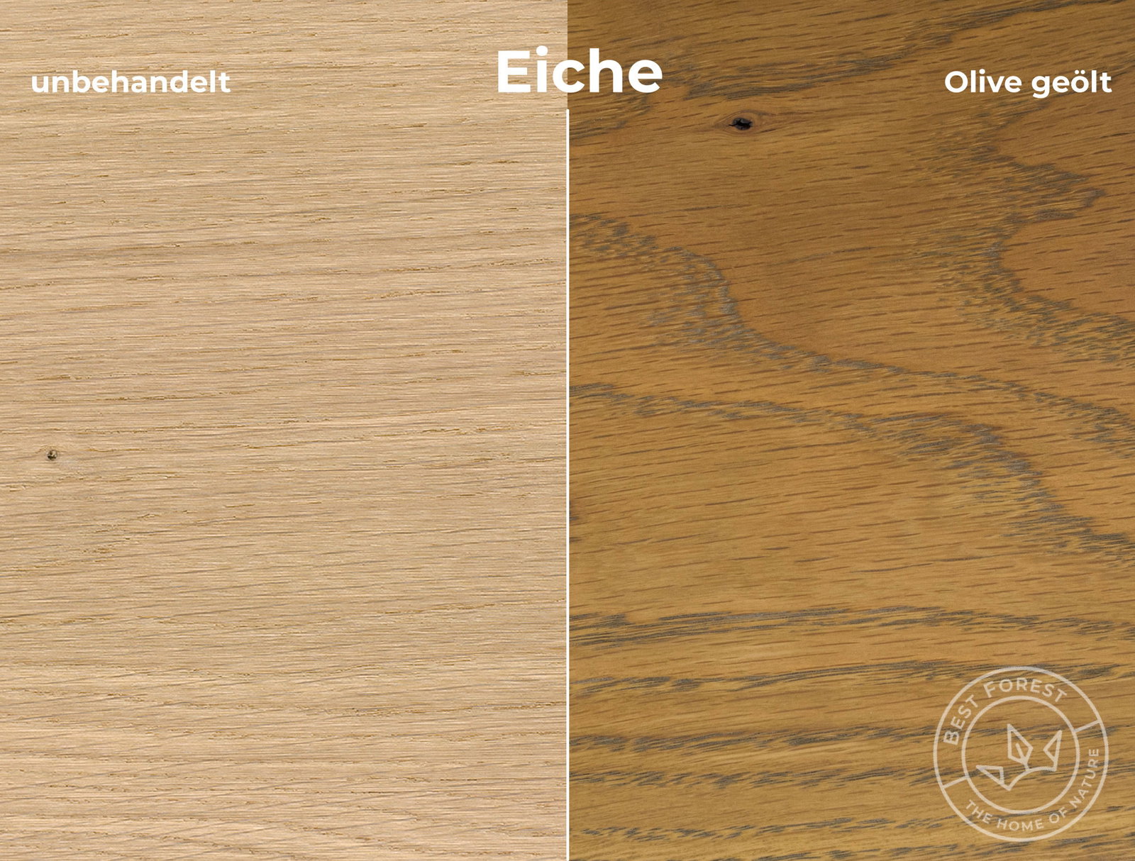 Rubio Monocoat Holzschutzöl Olive