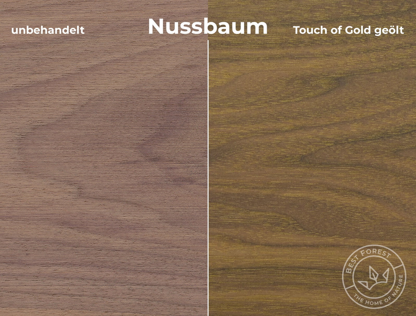 Rubio Monocoat Holzschutzöl Touch of Gold