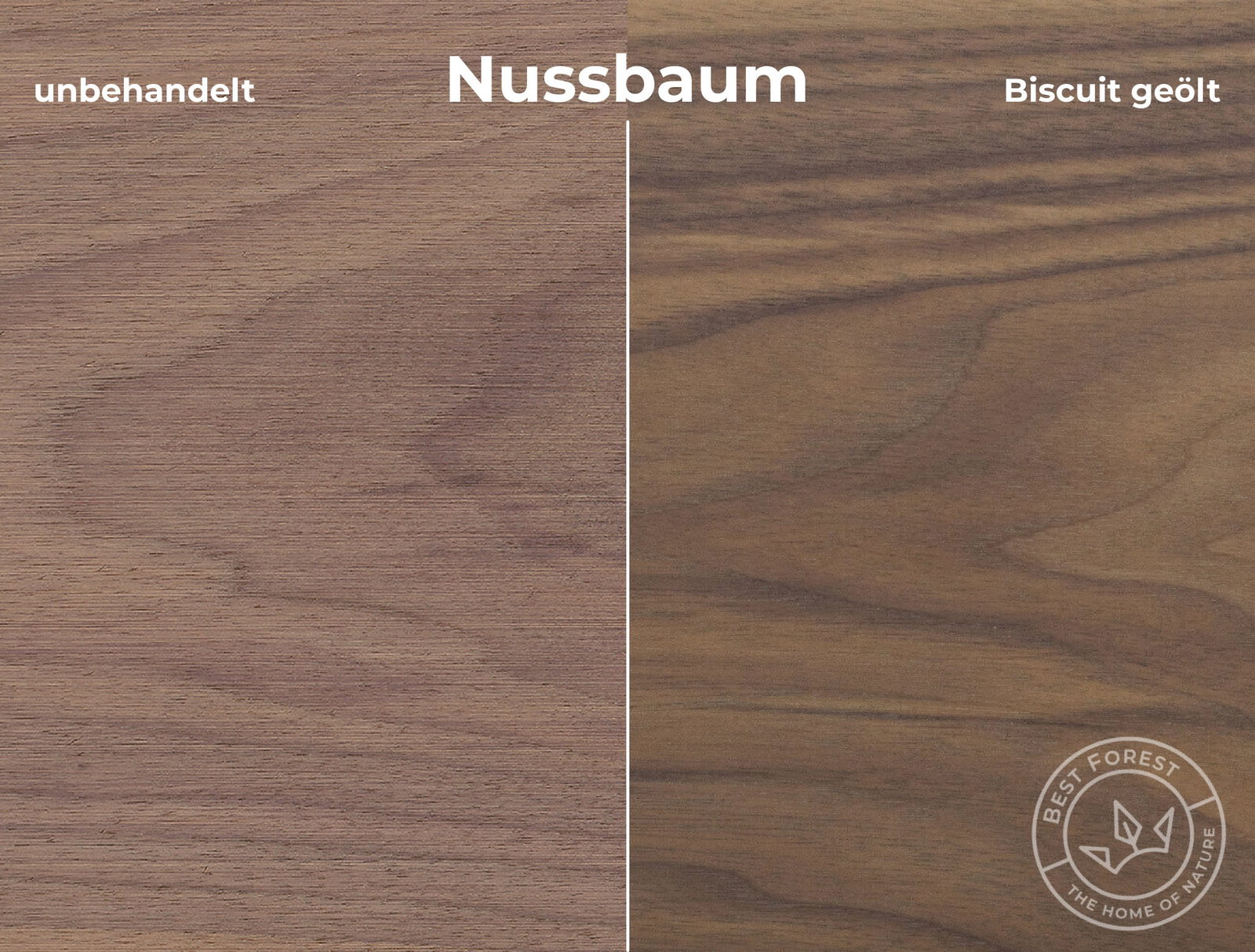 Rubio Monocoat Holzschutzöl Biscuit