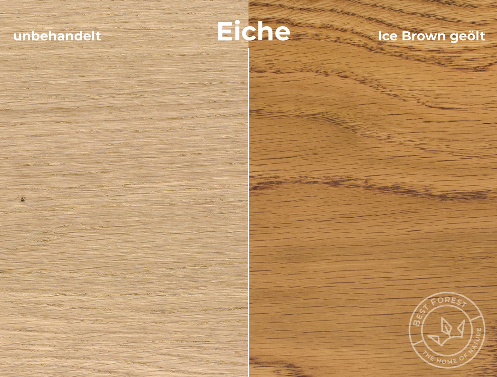 Rubio Monocoat Holzschutzöl Ice Brown