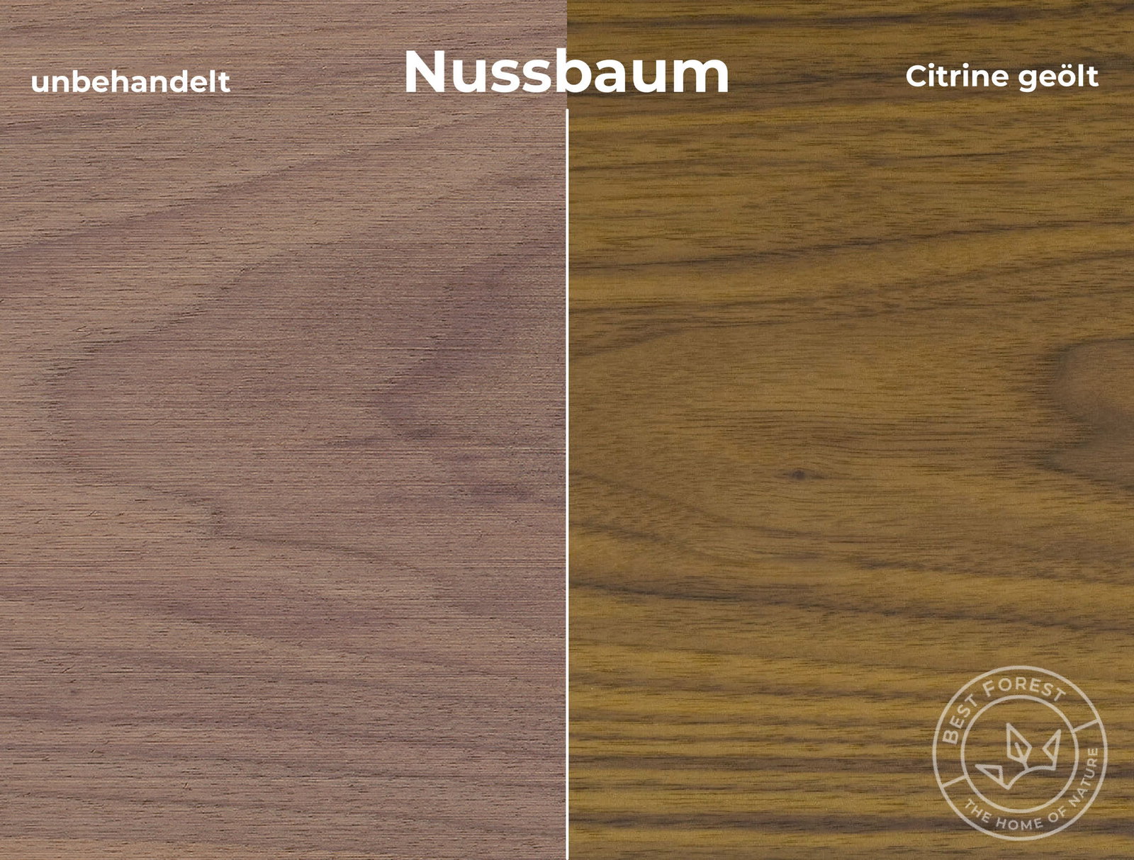 Rubio Monocoat Holzschutzöl Citrine