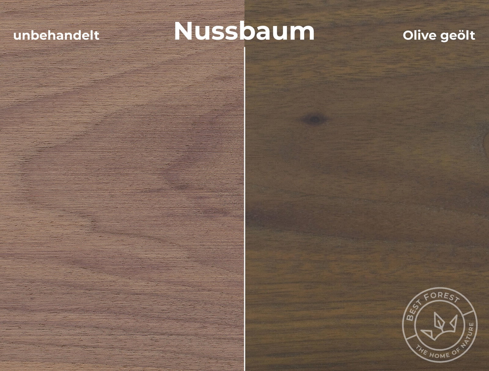 Rubio Monocoat Holzschutzöl Olive