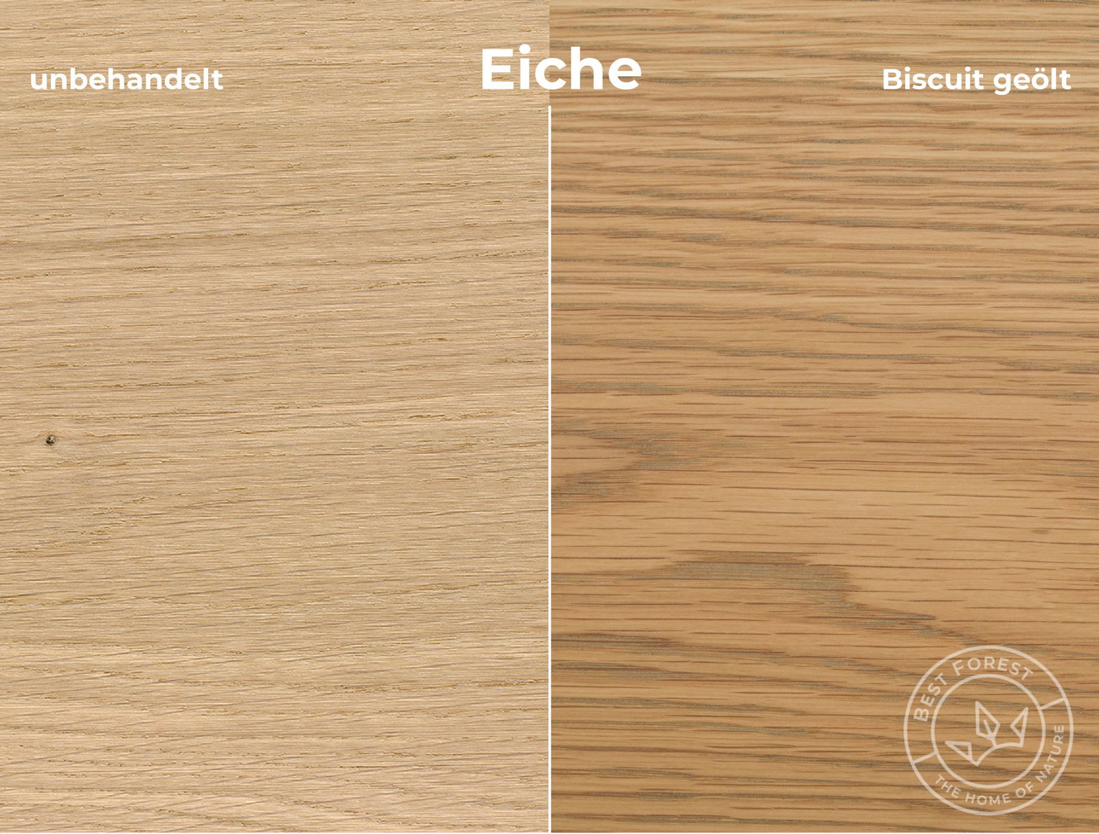 Rubio Monocoat Holzschutzöl Biscuit