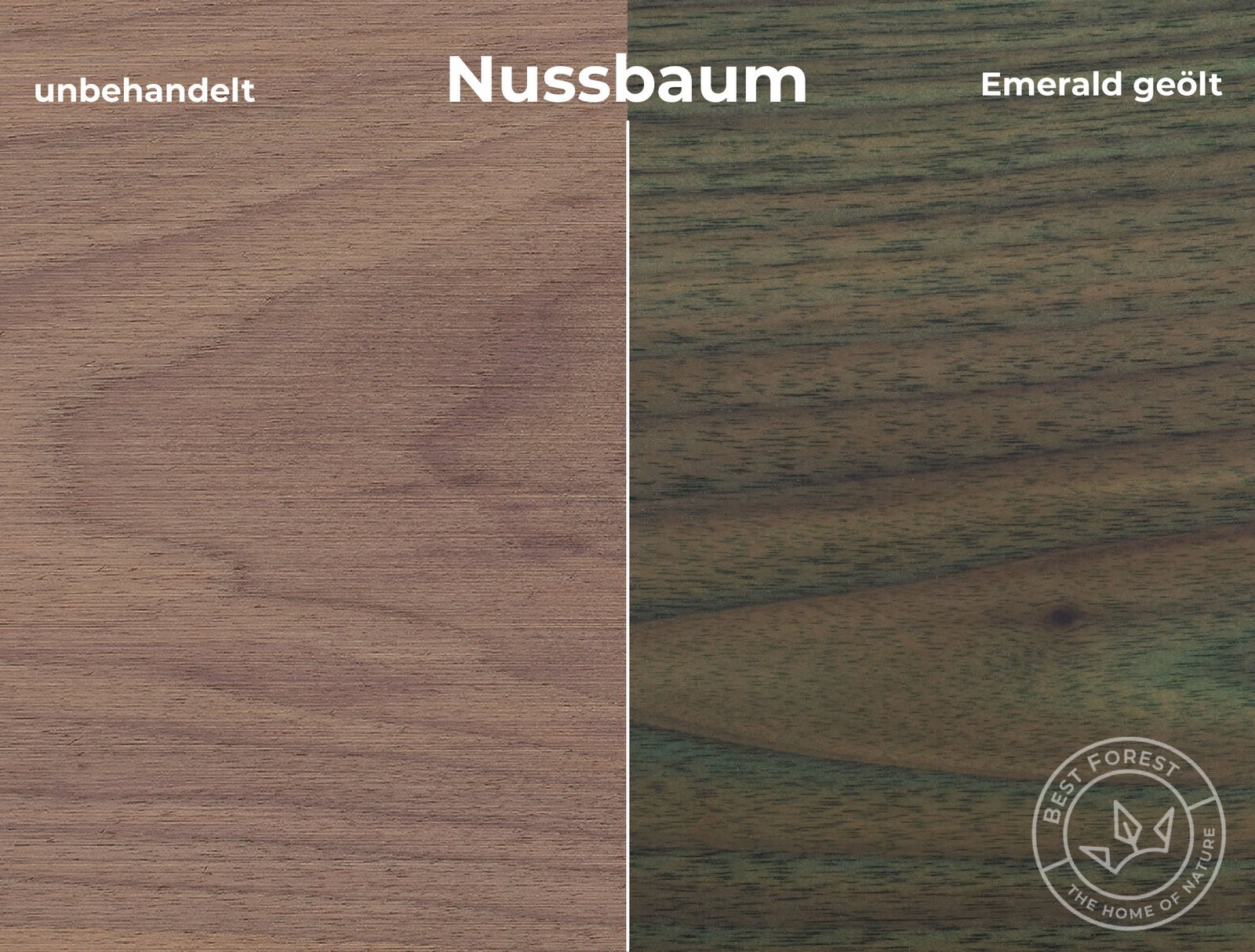 Rubio Monocoat Holzschutzöl Emerald